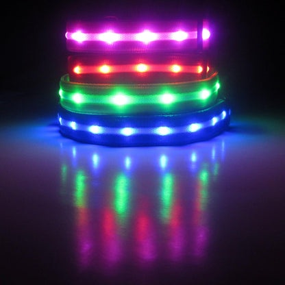 LED Dog Leash with 1,000 Feet Visibility - USB Rechargeable Waterproof Glow in the Dark - 4 Foot Length, Purple