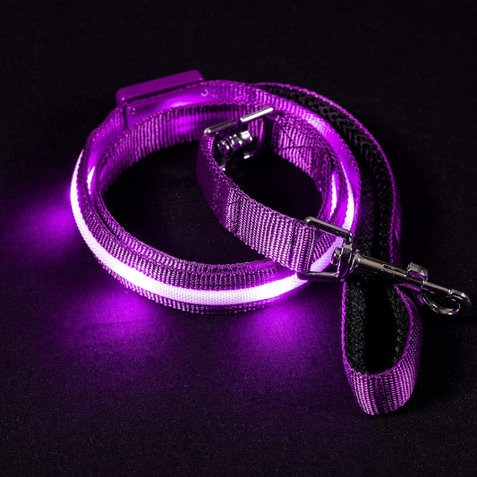 LED Dog Leash with 1,000 Feet Visibility - USB Rechargeable Waterproof Glow in the Dark - 4 Foot Length, Purple